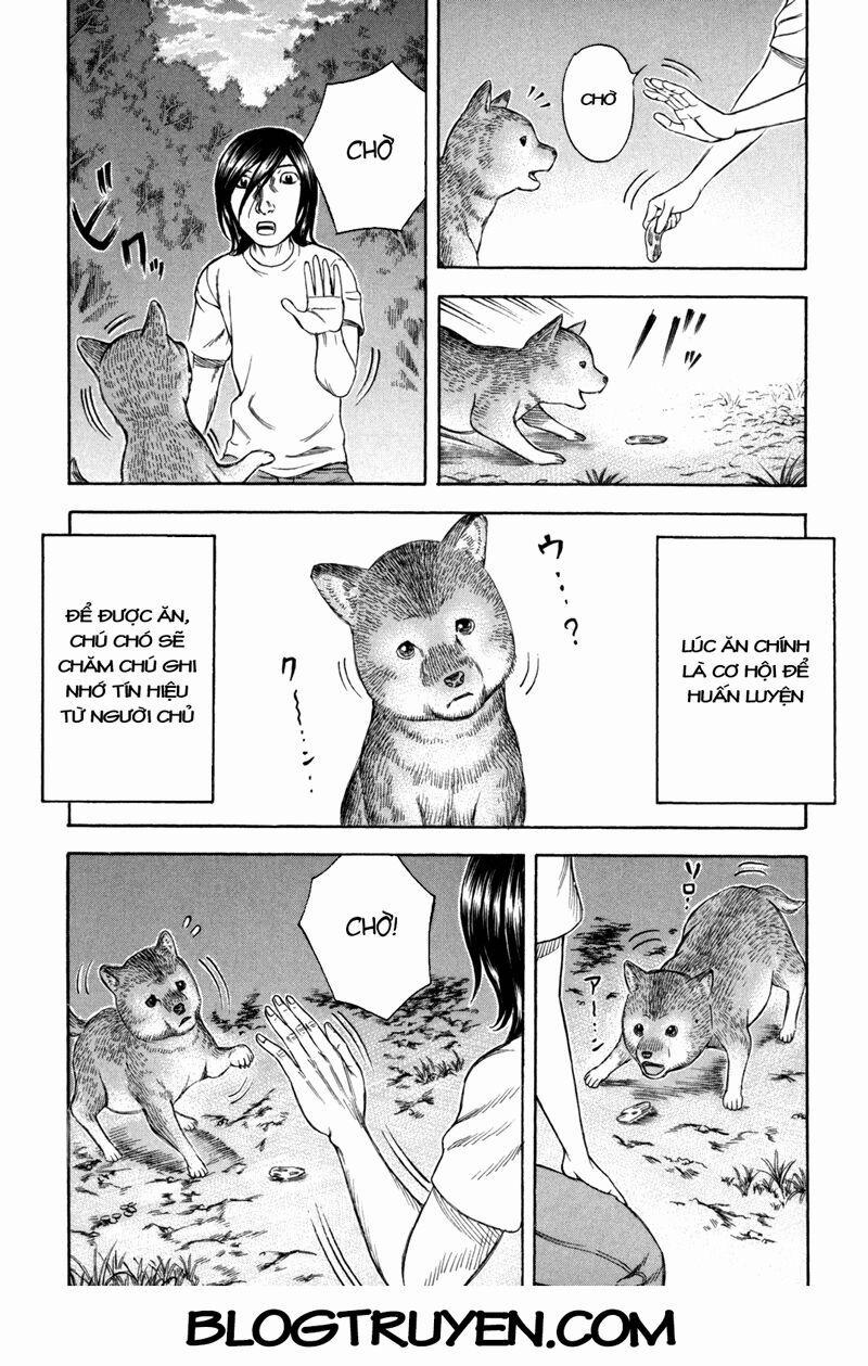 Đảo Tự Sát 21 trang 23