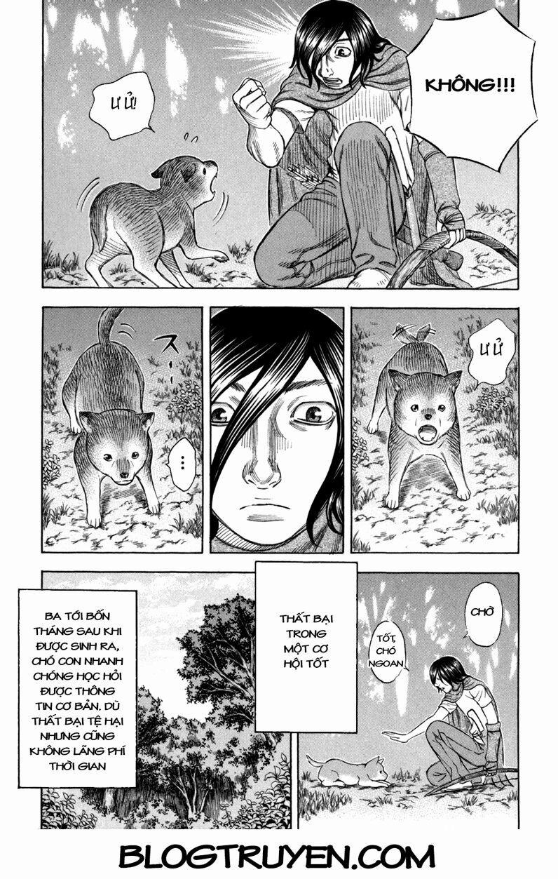 Đảo Tự Sát 23 trang 11