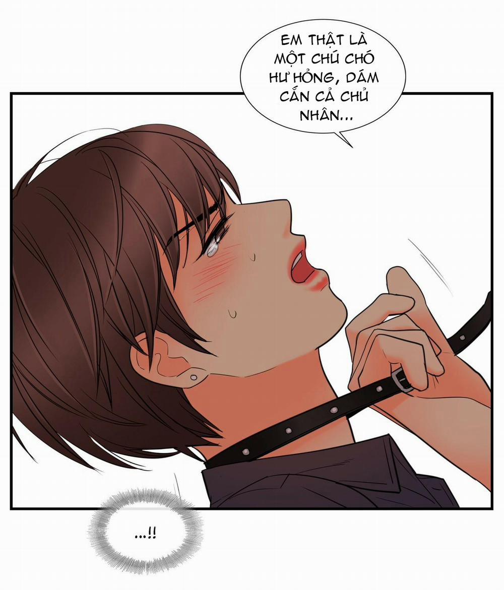 Dấu Hôn 9 trang 14