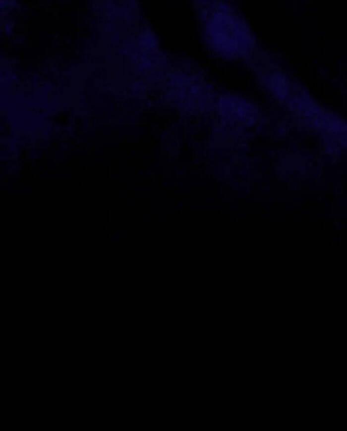 Dấu Vết Mặt Trời 45 trang 45