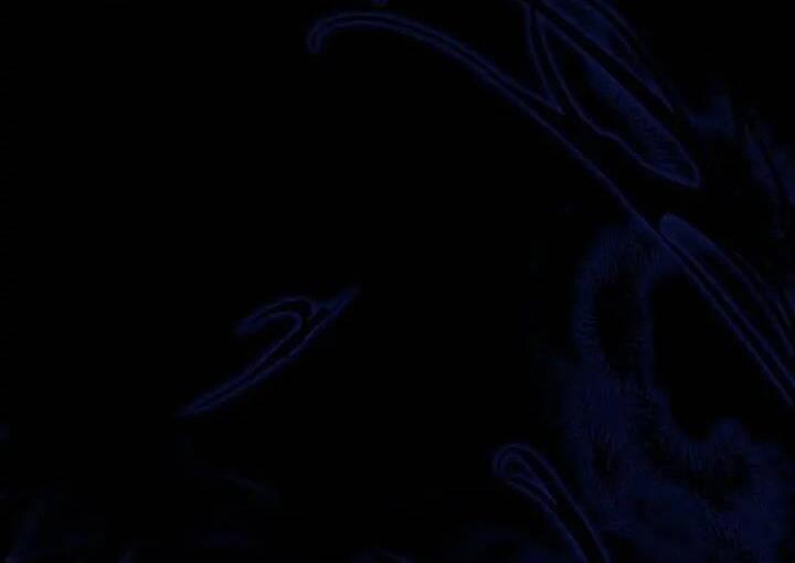 Dấu Vết Mặt Trời 49 trang 50