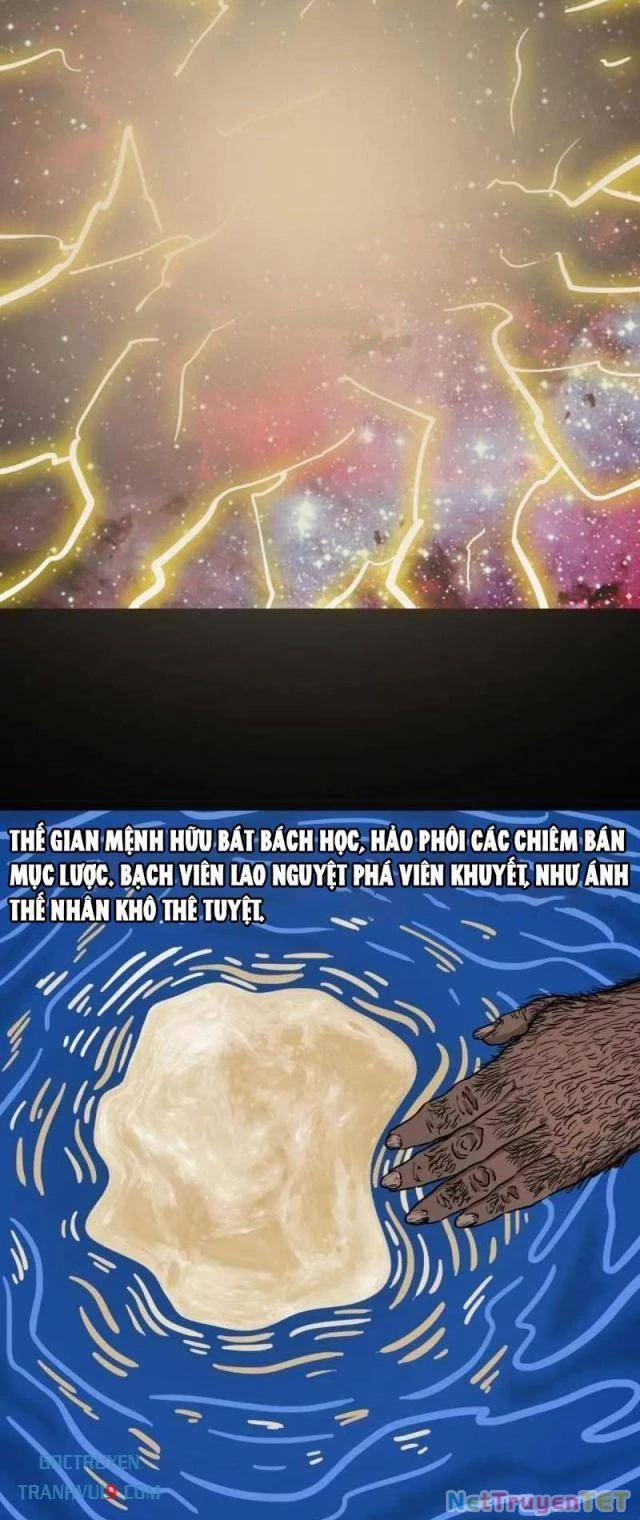 Đấu Yếm Thần 322 trang 22