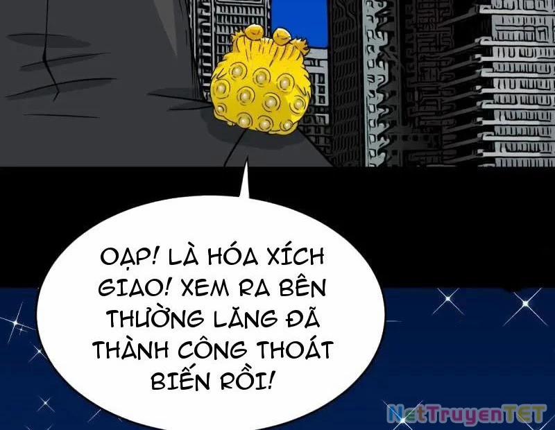 Đấu Yếm Thần 351 trang 13