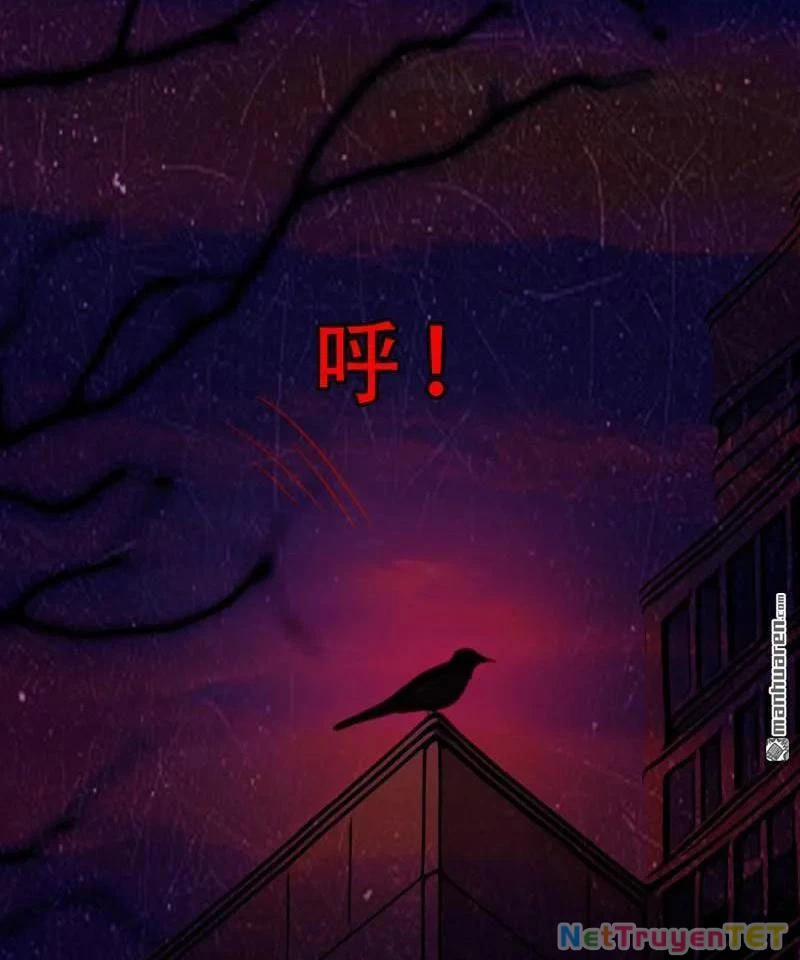 Đấu Yếm Thần 354 trang 61