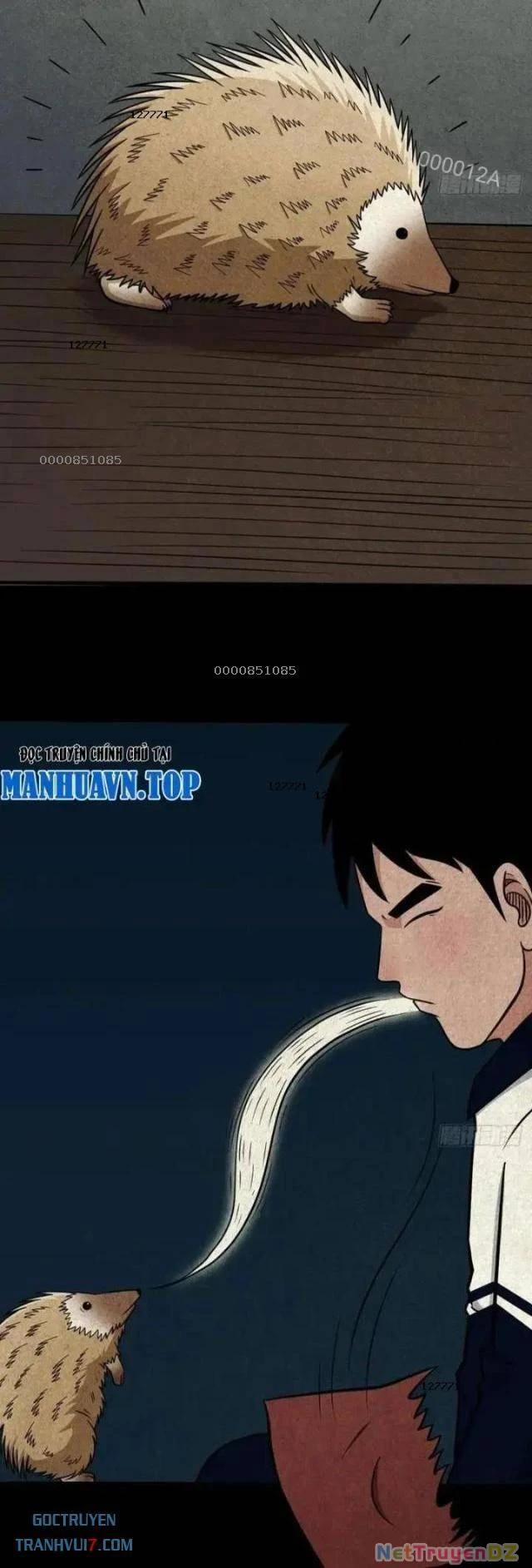 Đấu Yếm Thần 50 trang 1