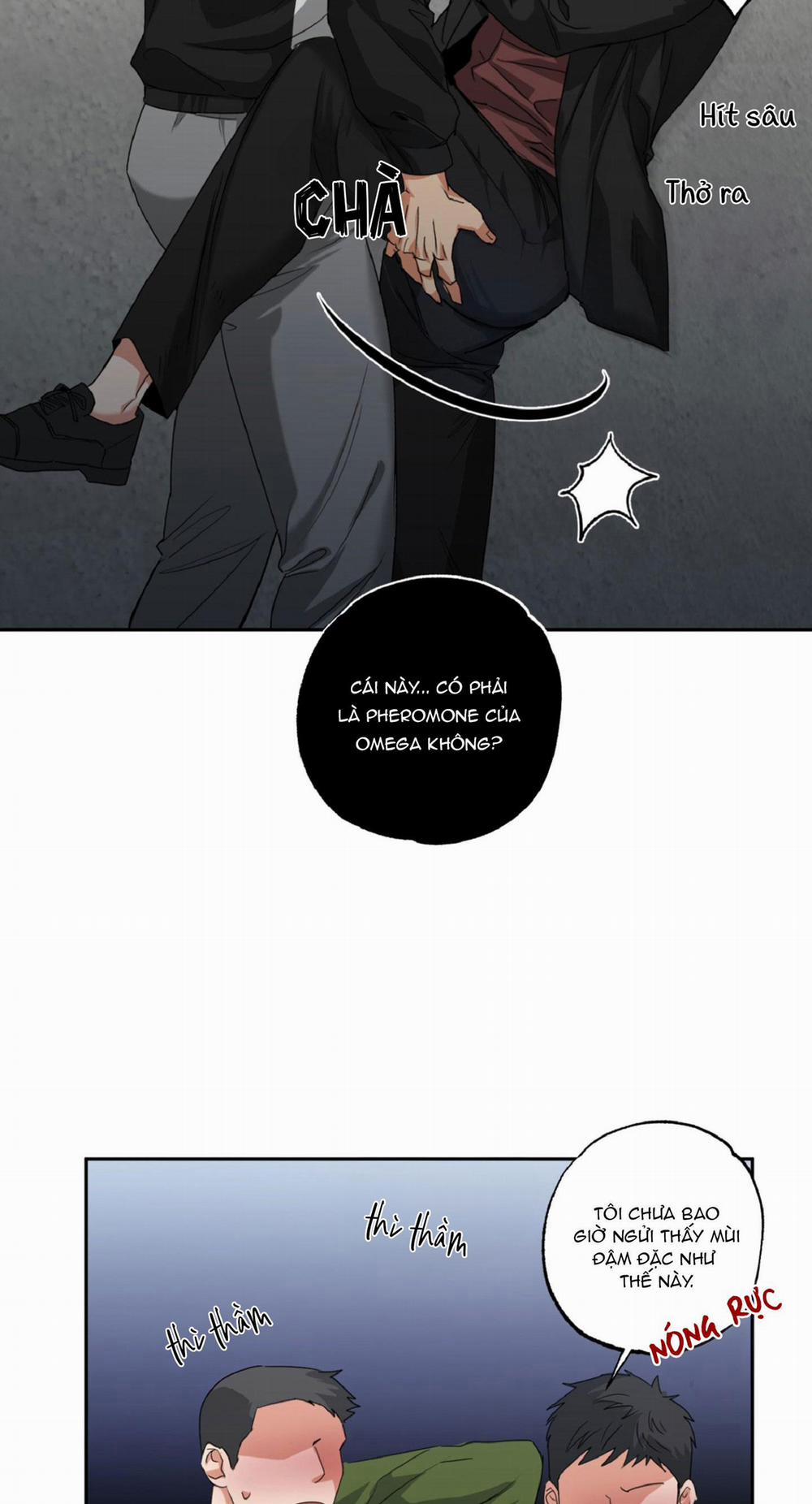 Dạy Chịch 11 0 trang 22