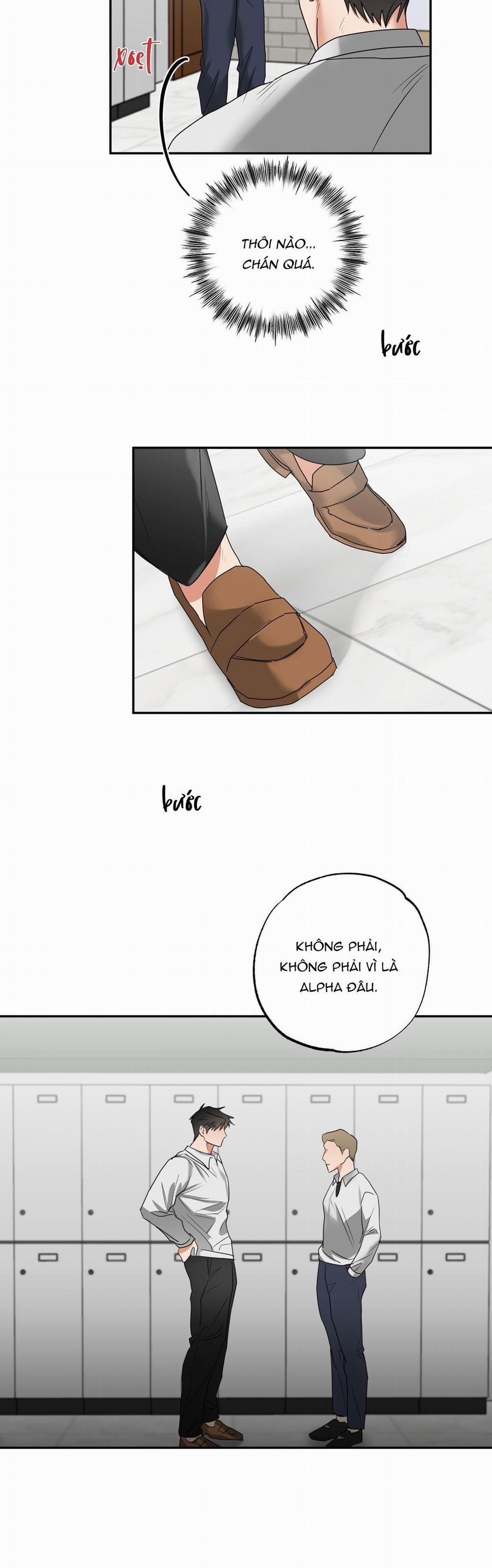 Dạy Chịch 16 trang 13