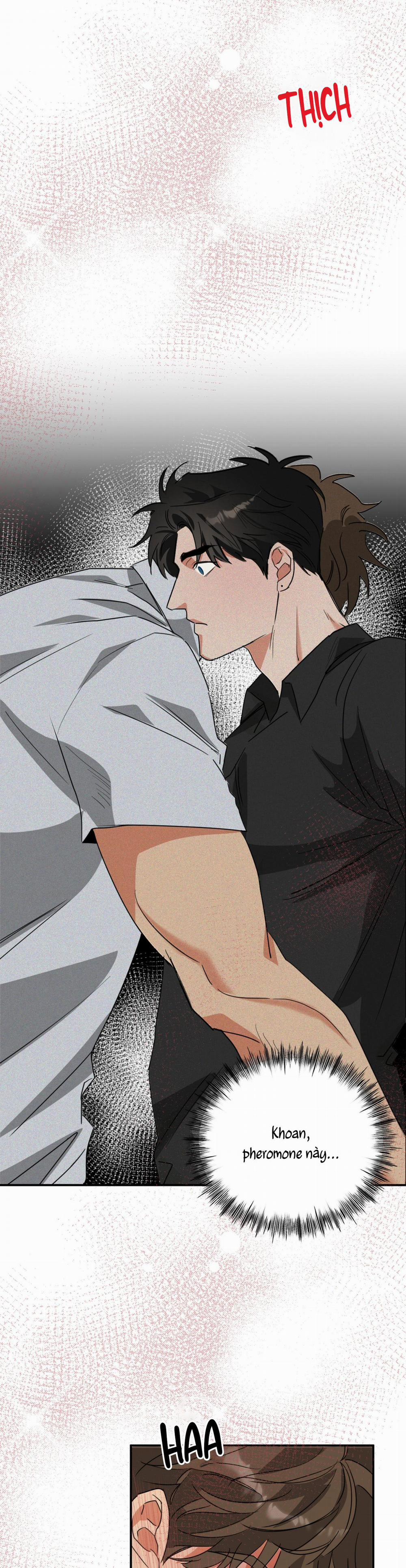 Dạy Chịch 4 trang 31