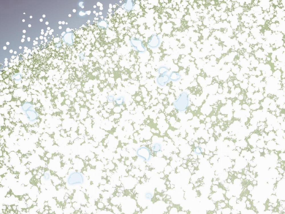 Dear Door 0 Side story 10 trang 7