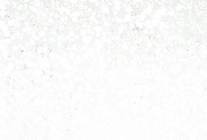 Dear Door 130 trang 236