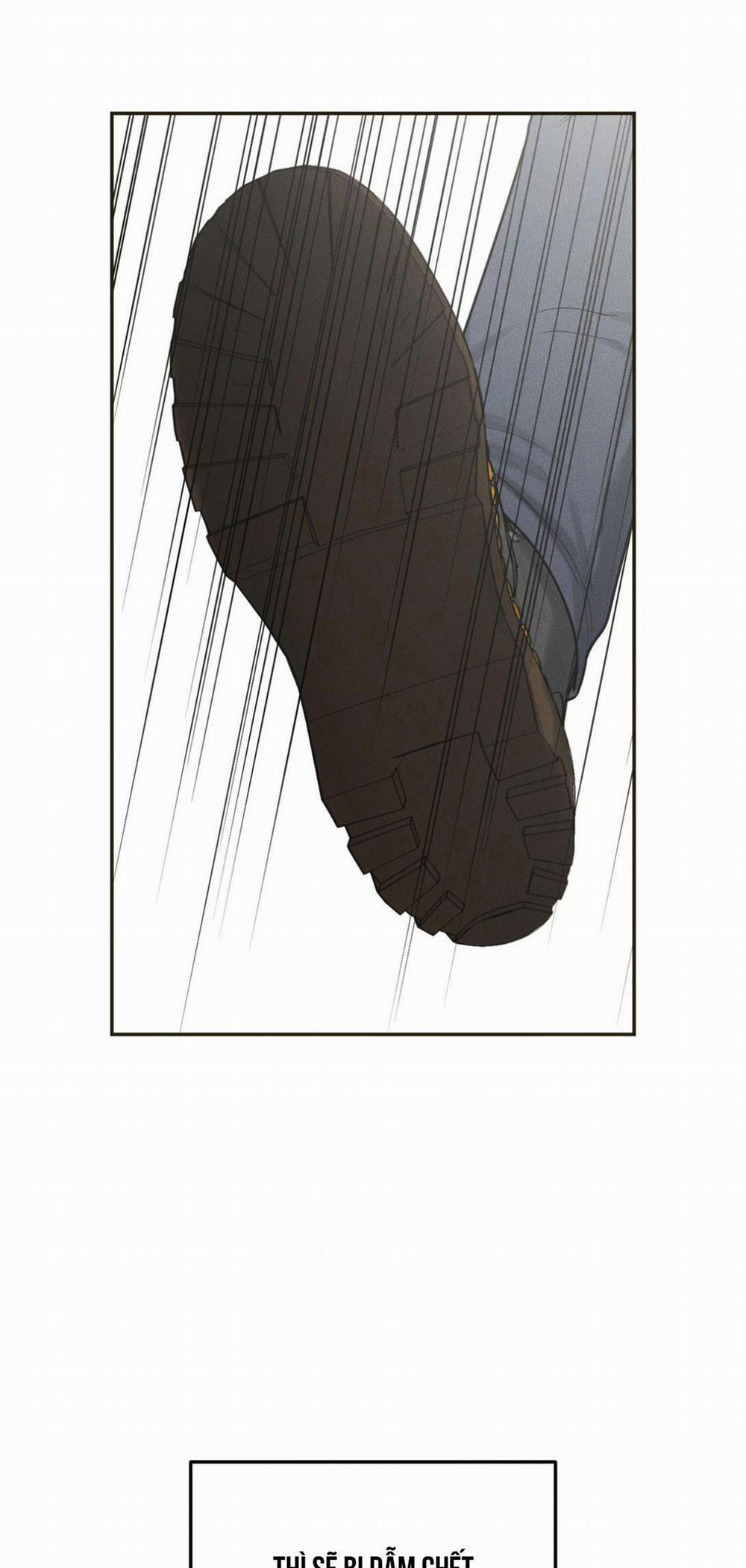 DEAR, TEDDY BEAR 11 trang 5