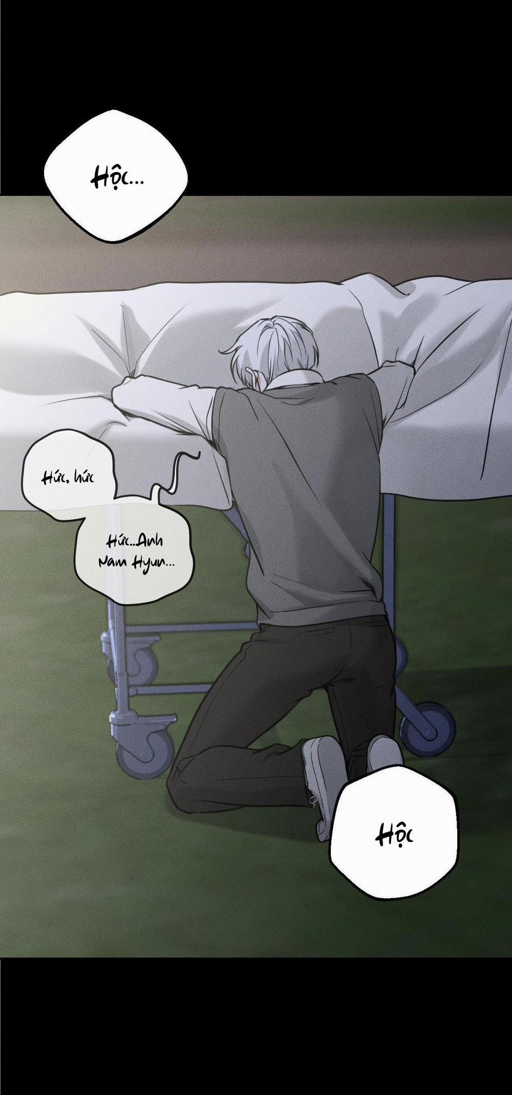 DEAR, TEDDY BEAR 25 trang 4