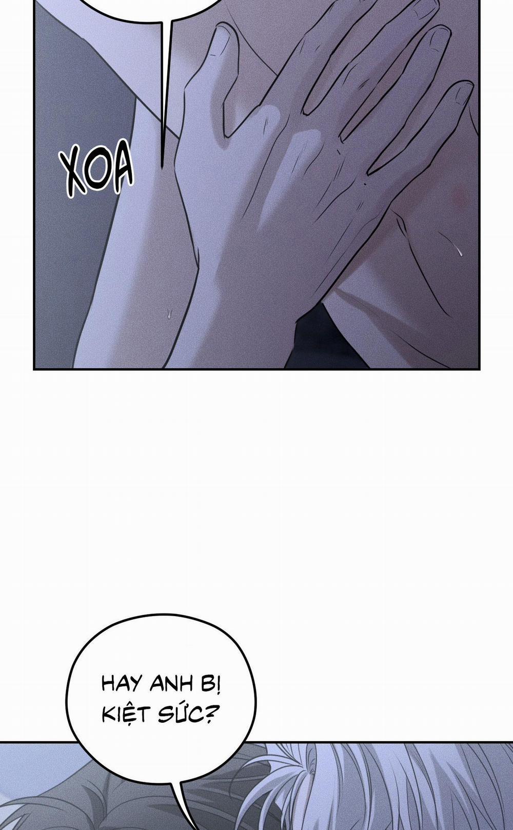 DEAR, TEDDY BEAR 27 trang 24