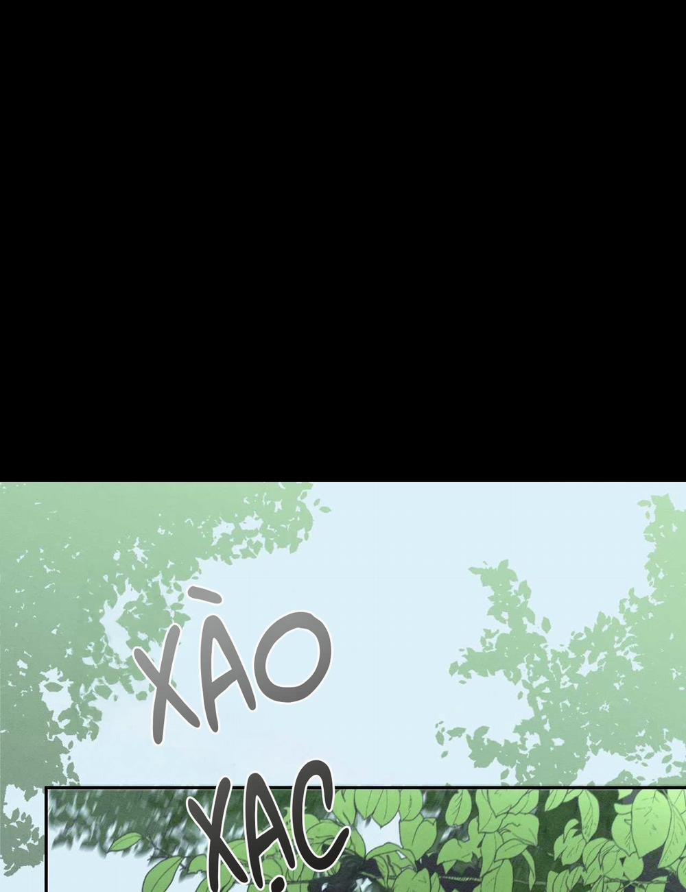 DEAR, TEDDY BEAR 28 trang 1