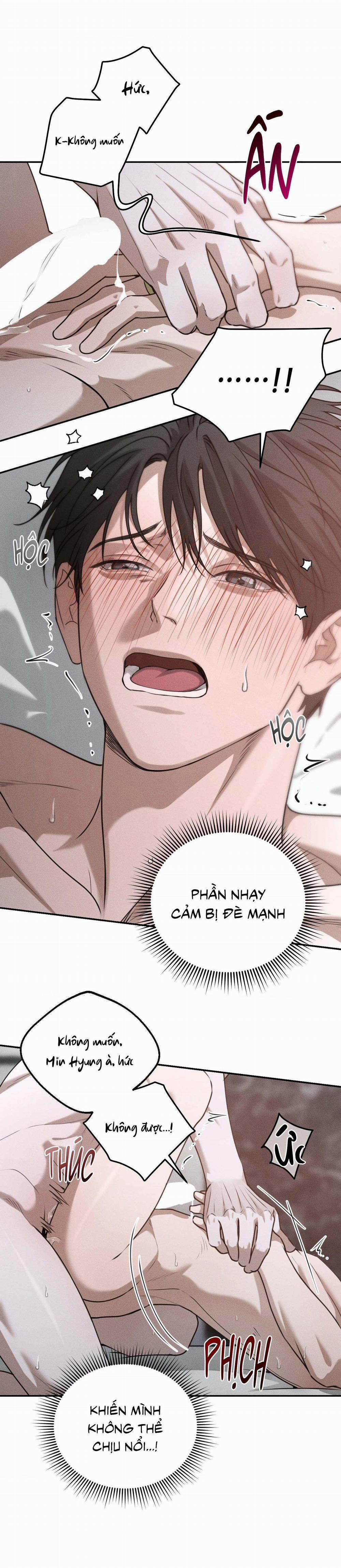 DEAR, TEDDY BEAR 29 trang 33