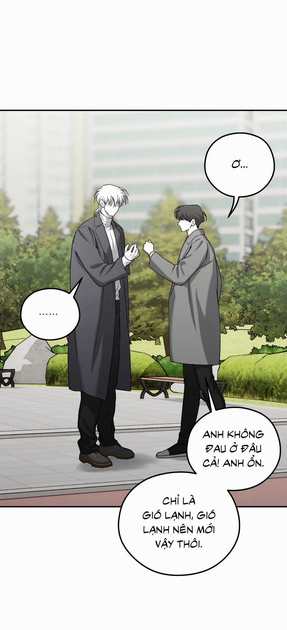 DEAR, TEDDY BEAR 30 trang 12