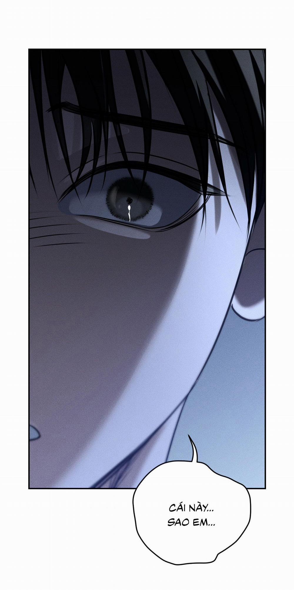 DEAR, TEDDY BEAR 40 trang 13