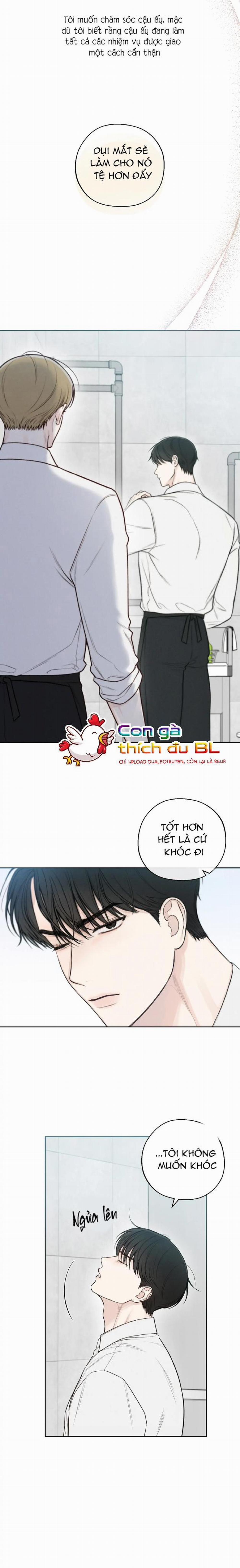 December 21 trang 13