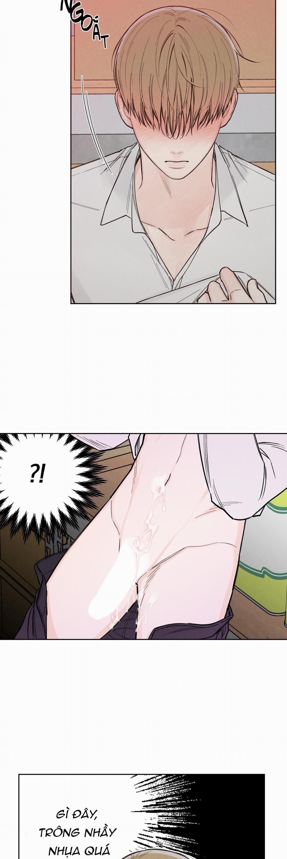 December 28 trang 11