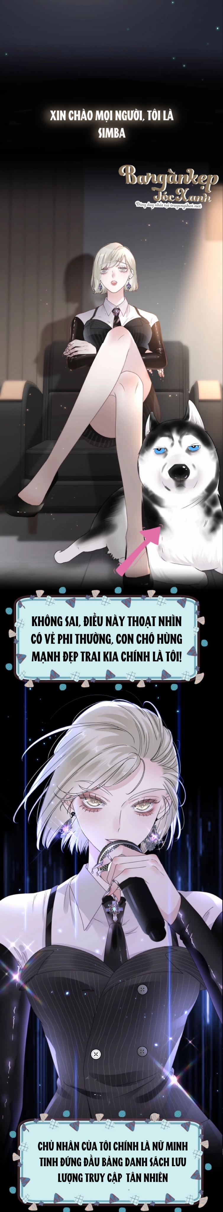 Đêm Ái Mộ Chương 1 Trang 2