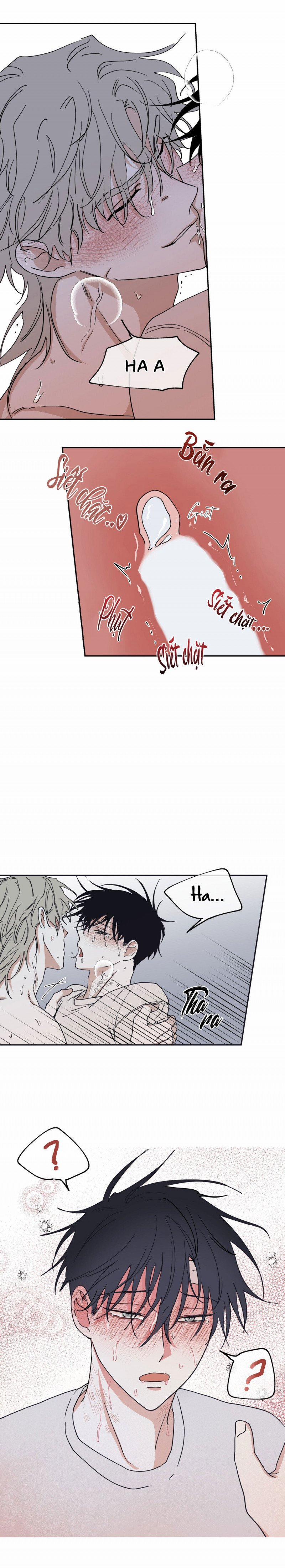 Đêm Bên Bờ Biển 12 trang 19