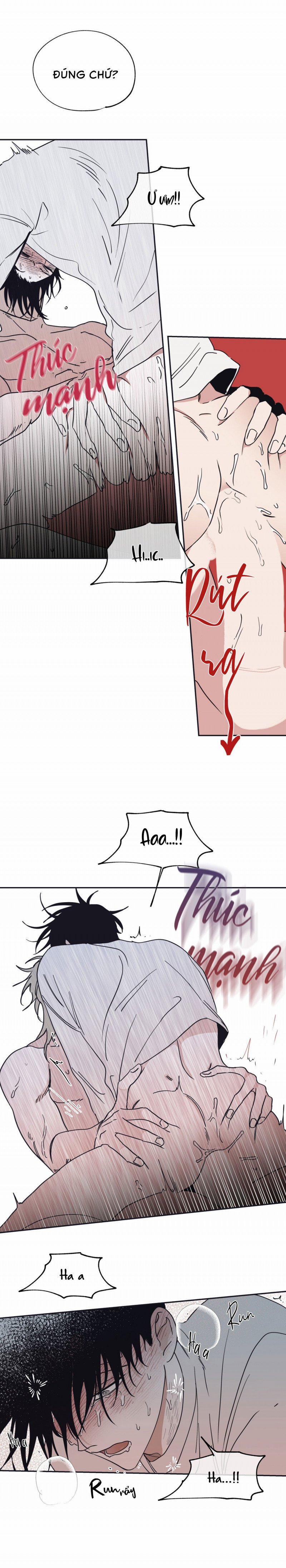 Đêm Bên Bờ Biển 12 trang 5