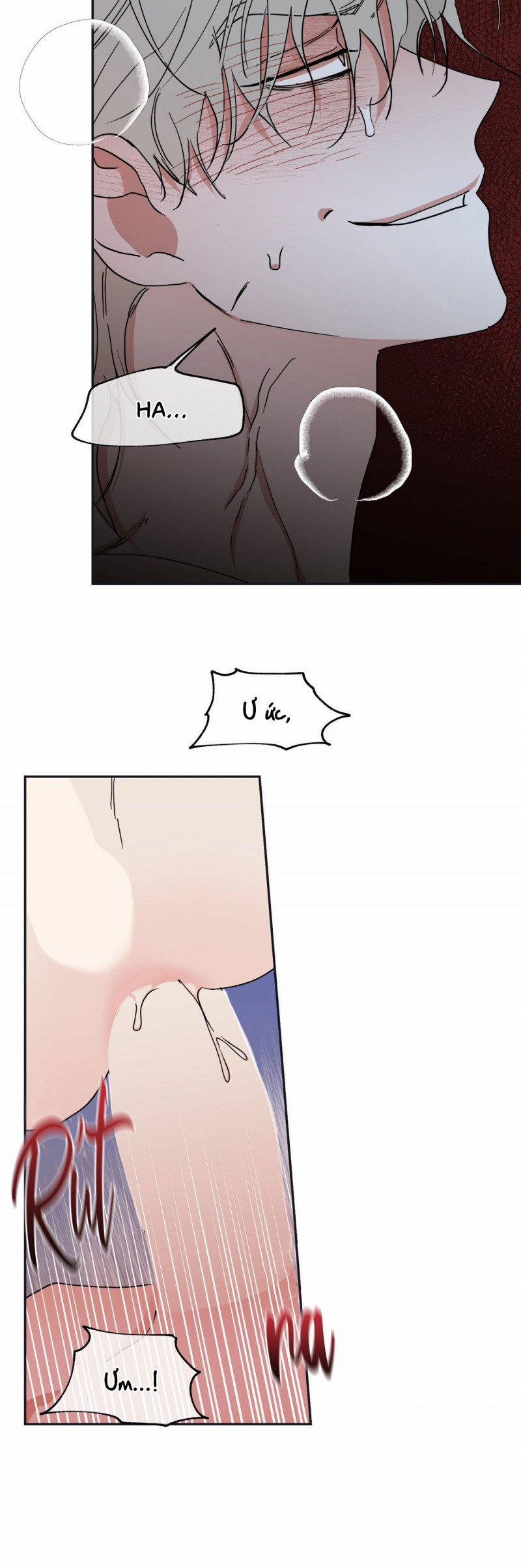 Đêm Bên Bờ Biển 12 trang 8