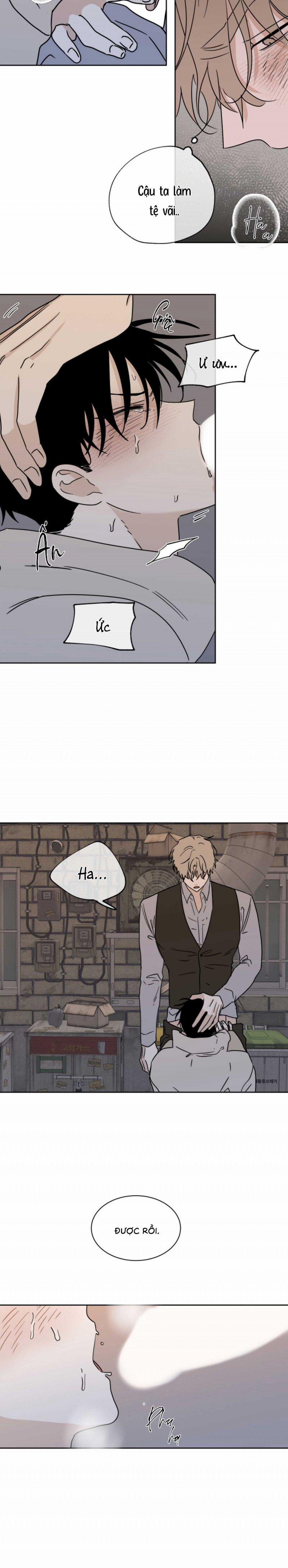 Đêm Bên Bờ Biển 21 trang 19