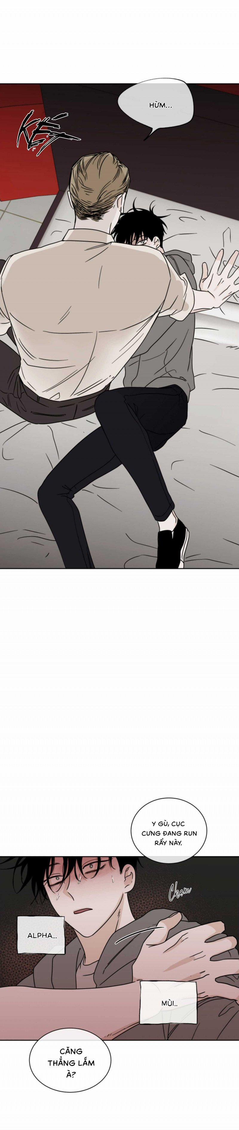 Đêm Bên Bờ Biển 24 trang 8