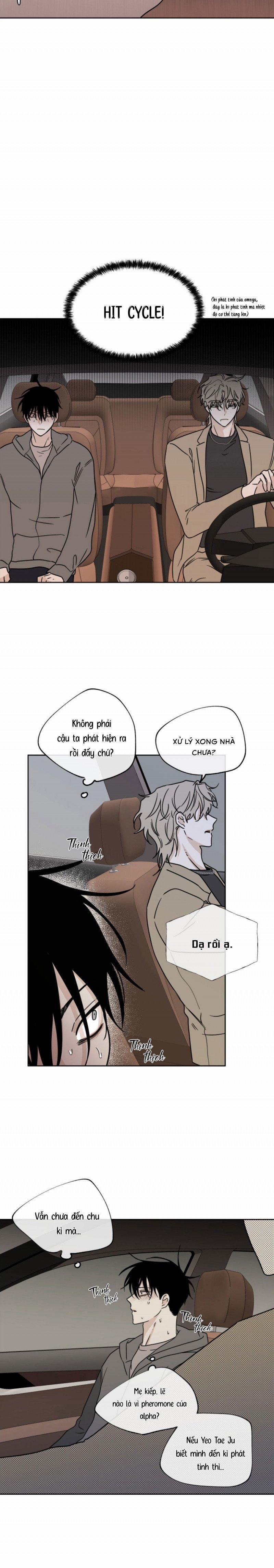 Đêm Bên Bờ Biển 25 trang 5