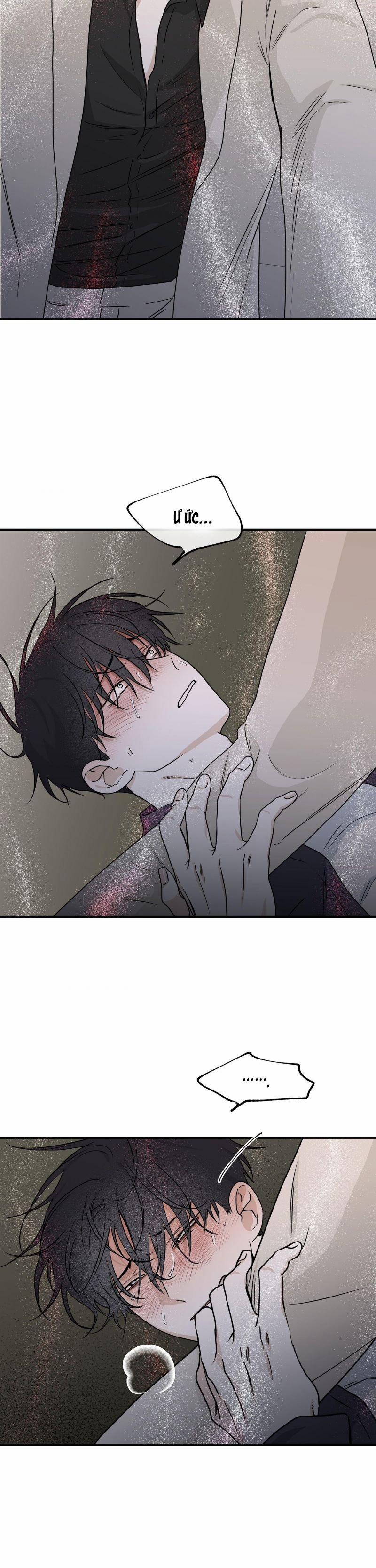 Đêm Bên Bờ Biển 43.5 trang 7