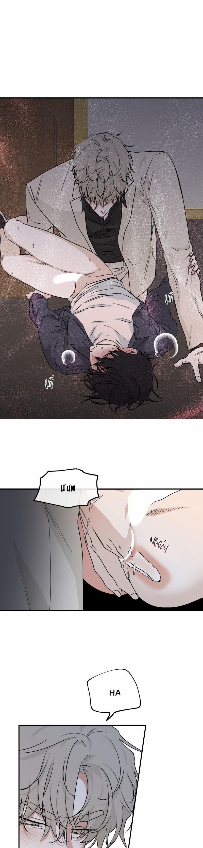 Đêm Bên Bờ Biển 43.5 trang 8