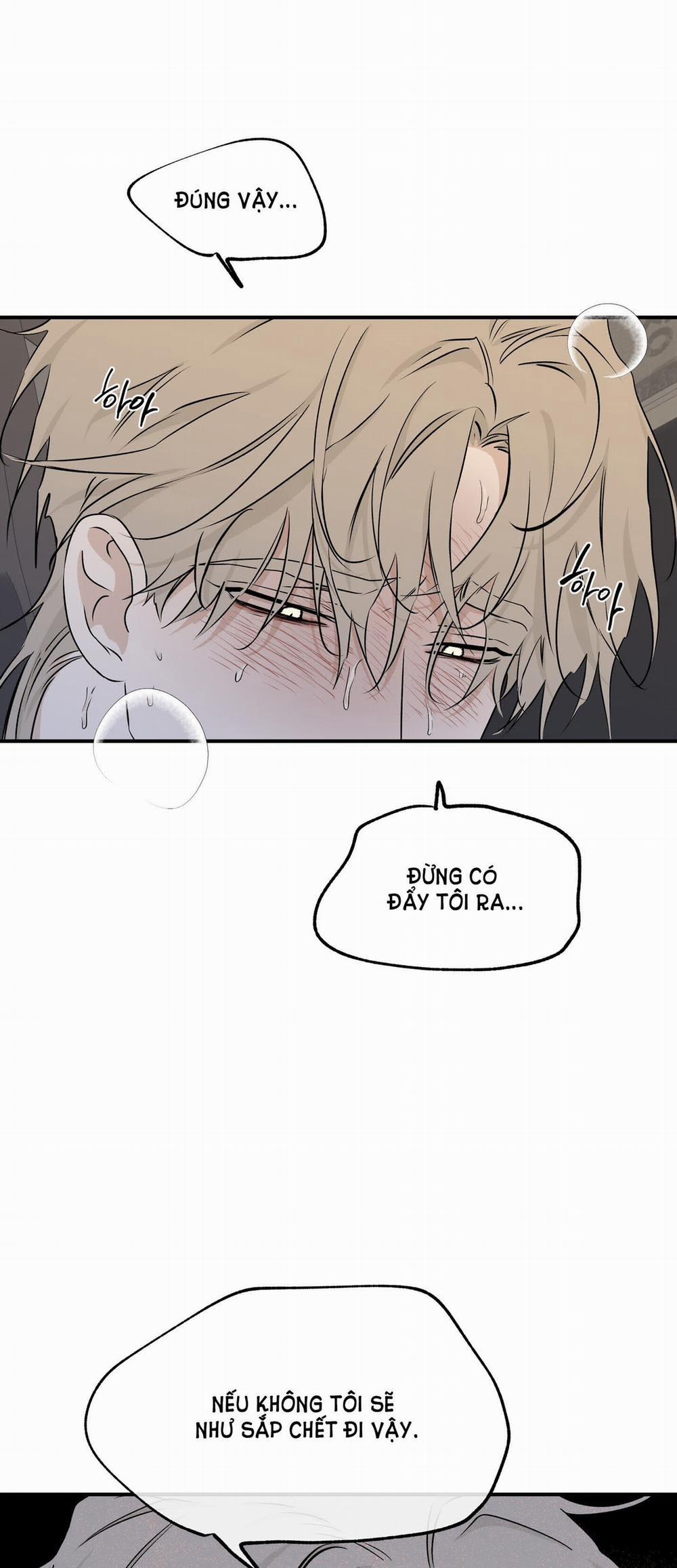 Đêm Bên Bờ Biển 53.5 trang 10