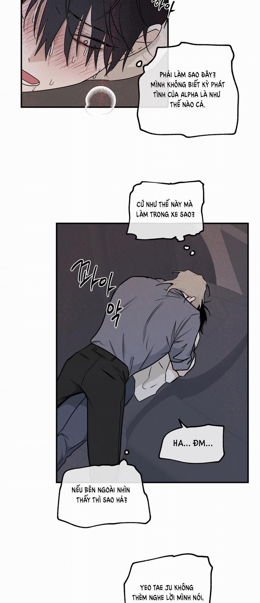 Đêm Bên Bờ Biển 53.5 trang 13