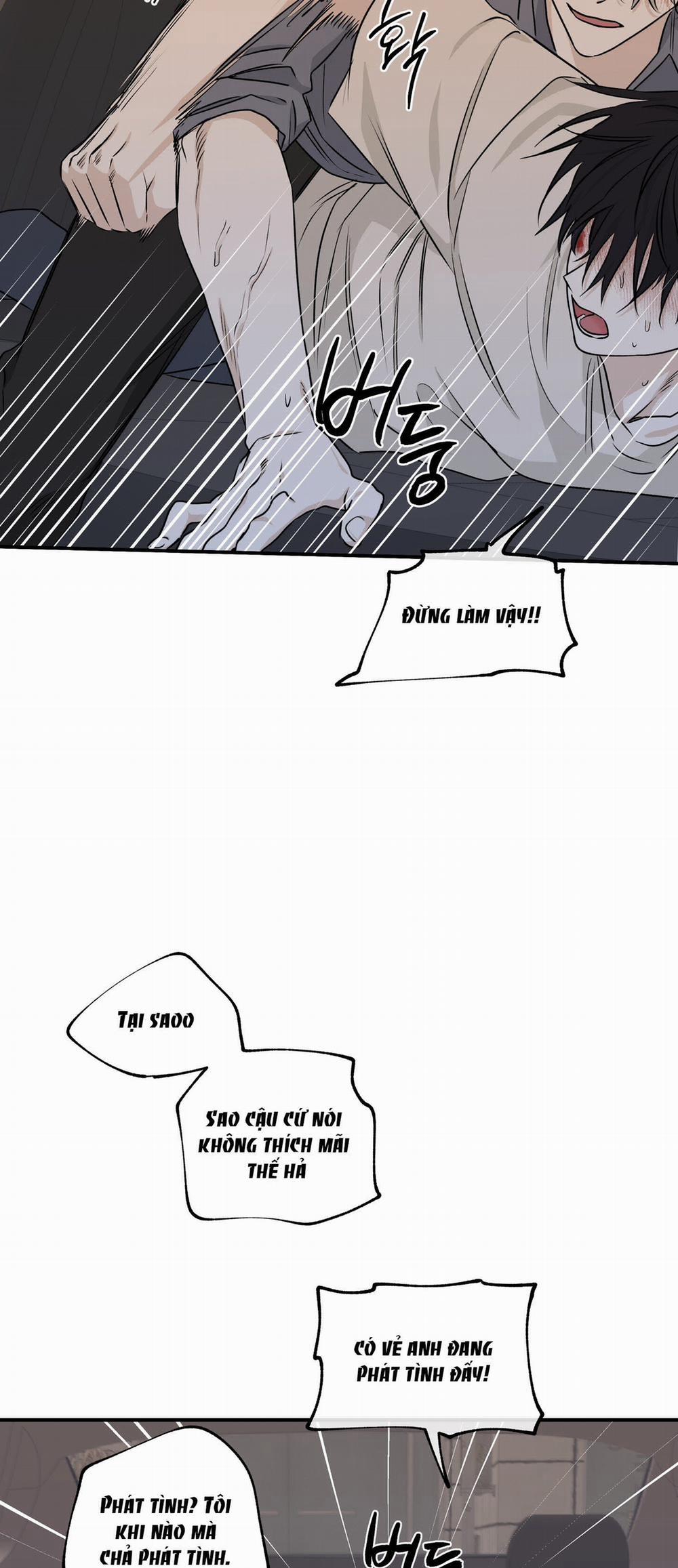 Đêm Bên Bờ Biển 53.5 trang 4