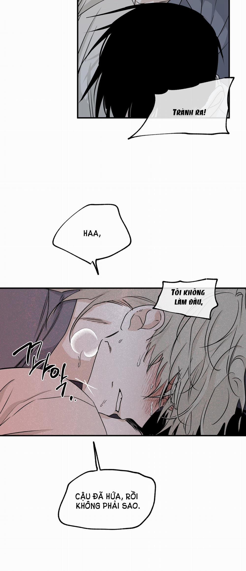 Đêm Bên Bờ Biển 53.5 trang 6