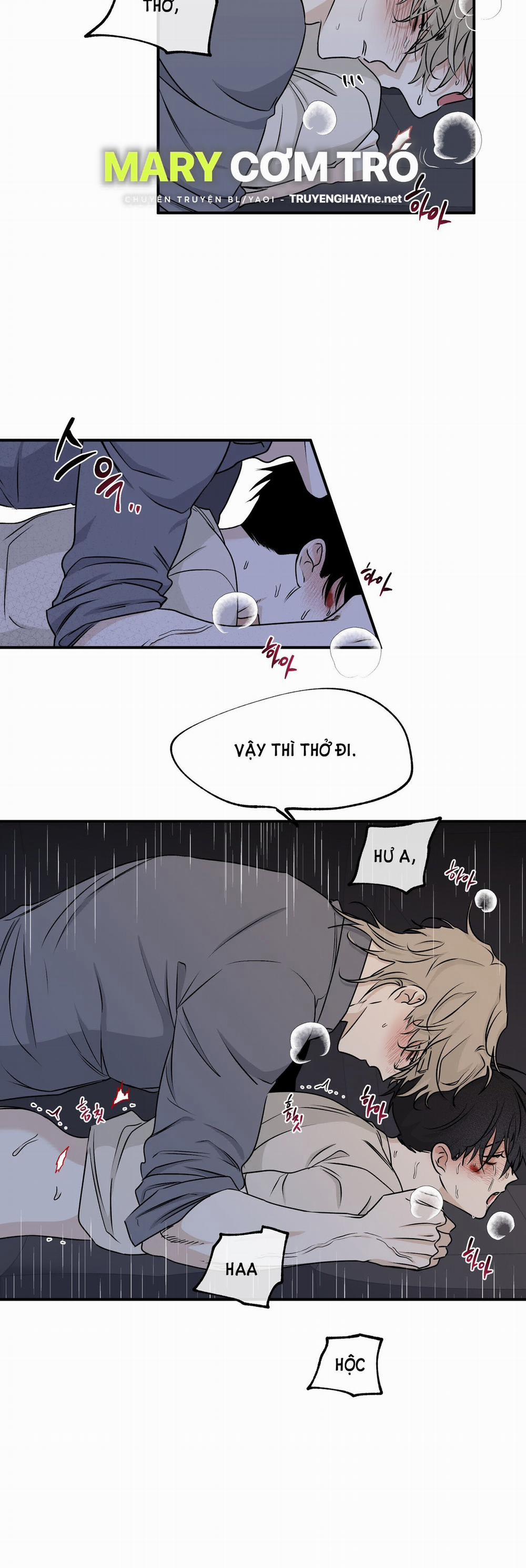 Đêm Bên Bờ Biển 54.5 trang 11