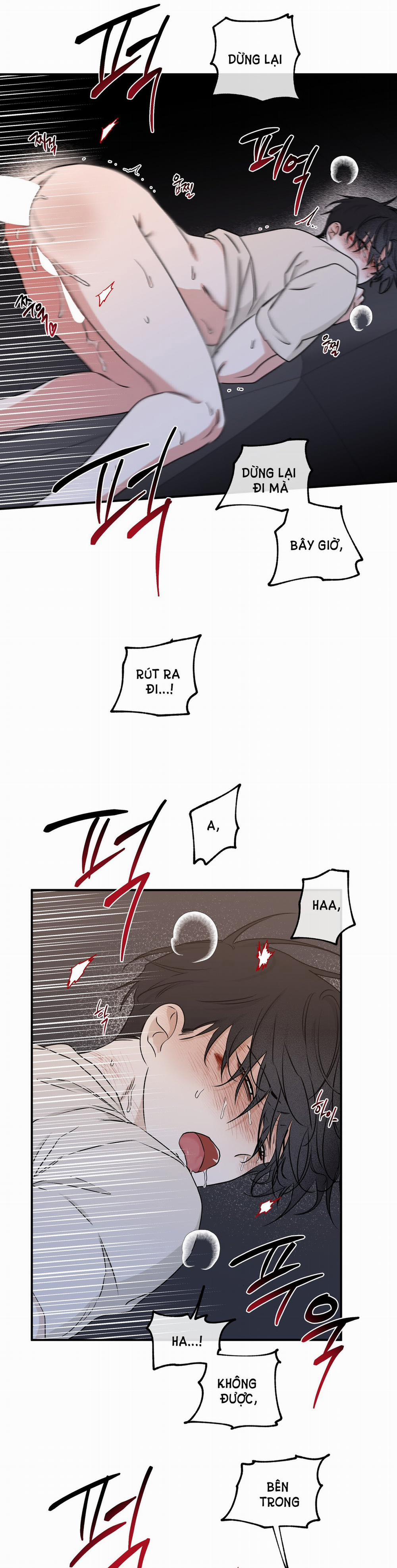 Đêm Bên Bờ Biển 54.5 trang 15