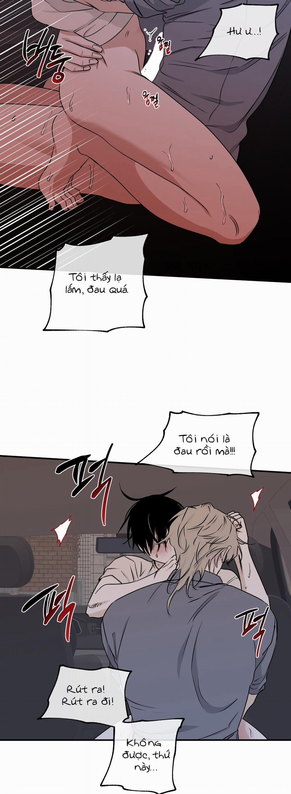 Đêm Bên Bờ Biển 55.5 trang 12