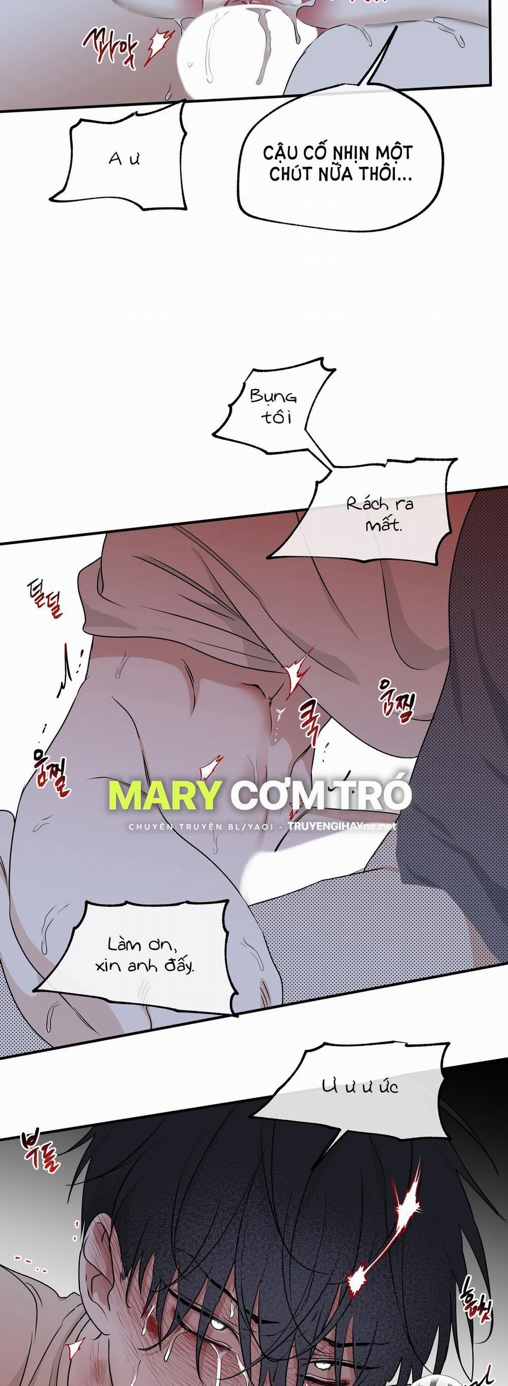 Đêm Bên Bờ Biển 55.5 trang 15