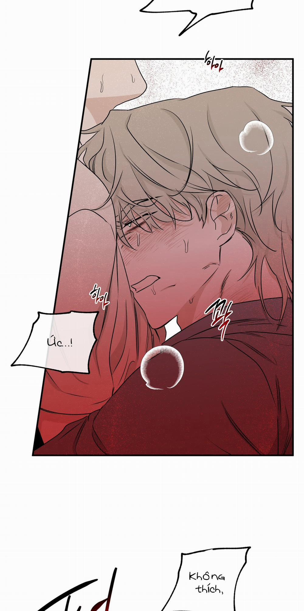 Đêm Bên Bờ Biển 55.5 trang 3