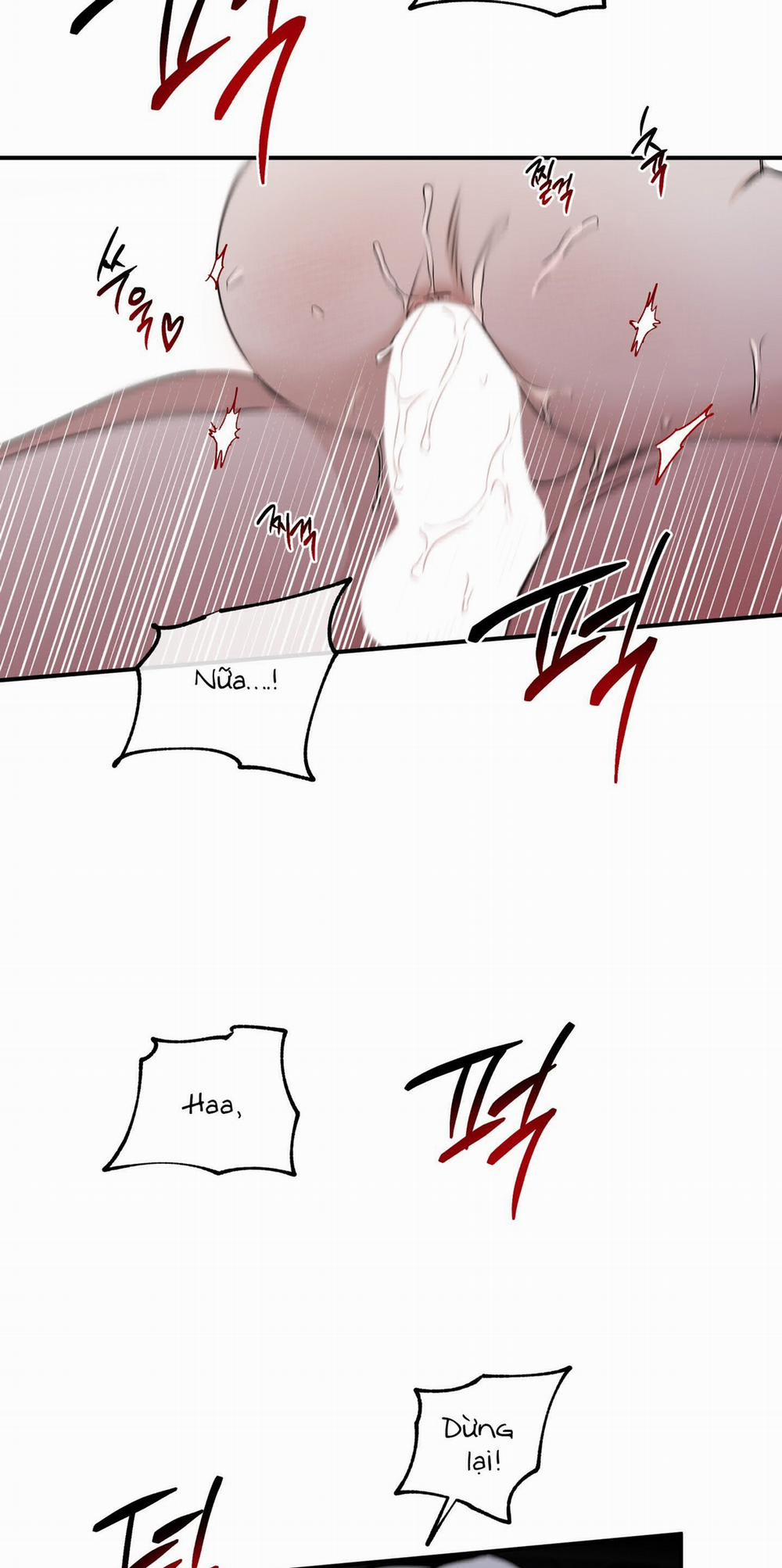 Đêm Bên Bờ Biển 55.5 trang 4