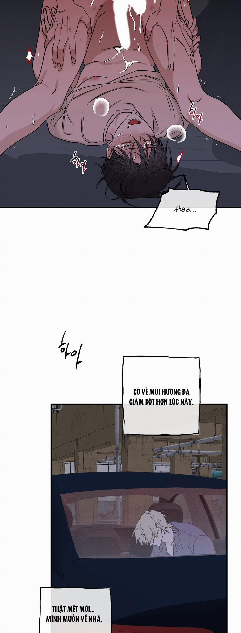 Đêm Bên Bờ Biển 55 trang 13