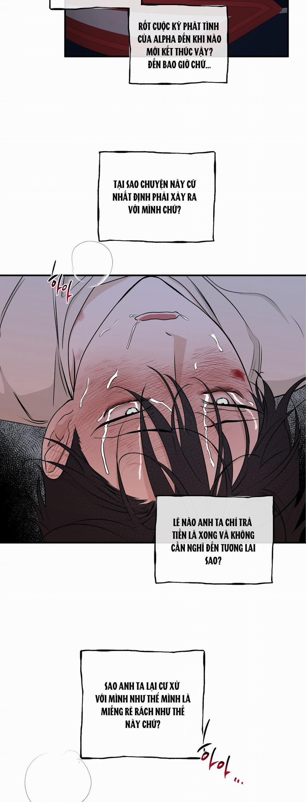 Đêm Bên Bờ Biển 55 trang 14