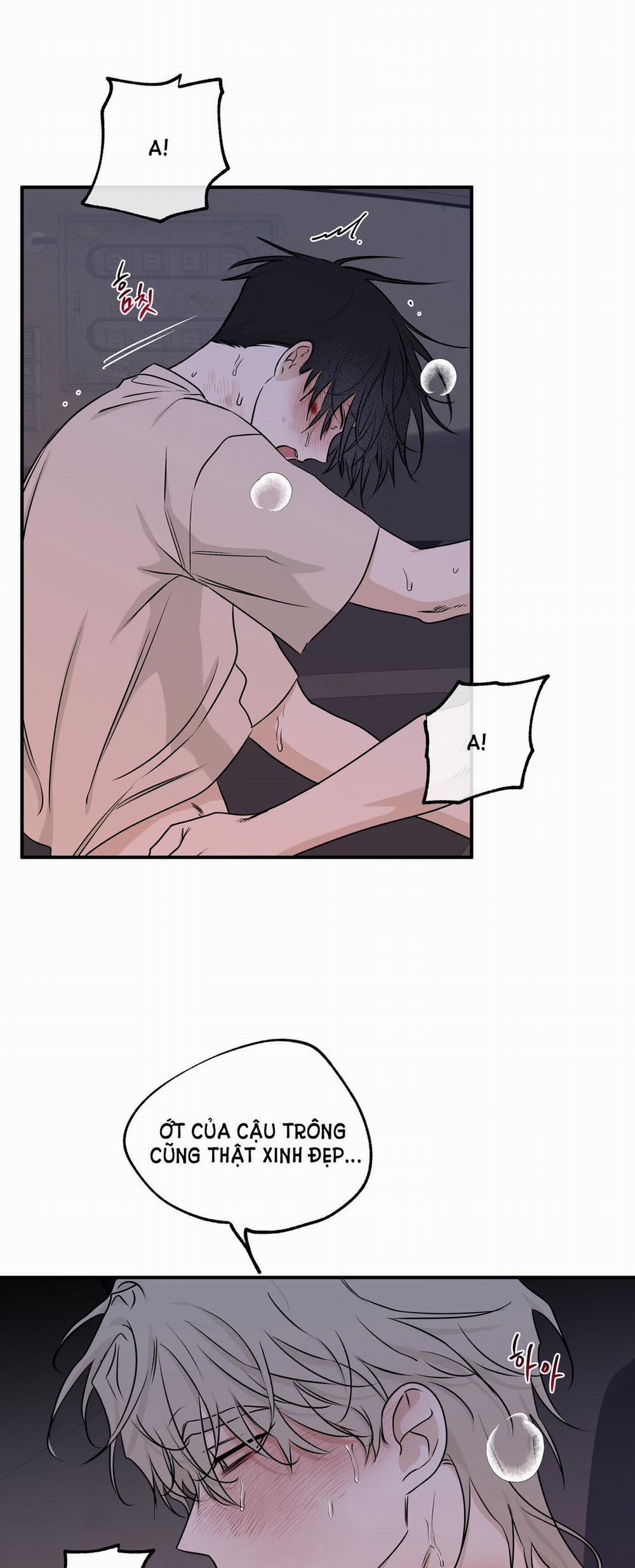 Đêm Bên Bờ Biển 56 trang 11