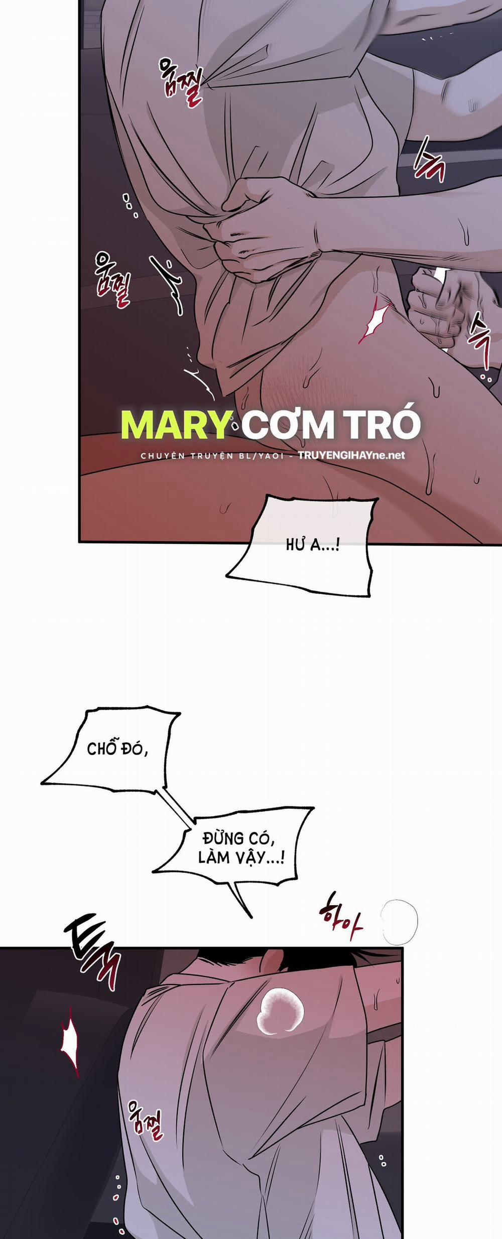 Đêm Bên Bờ Biển 56 trang 13