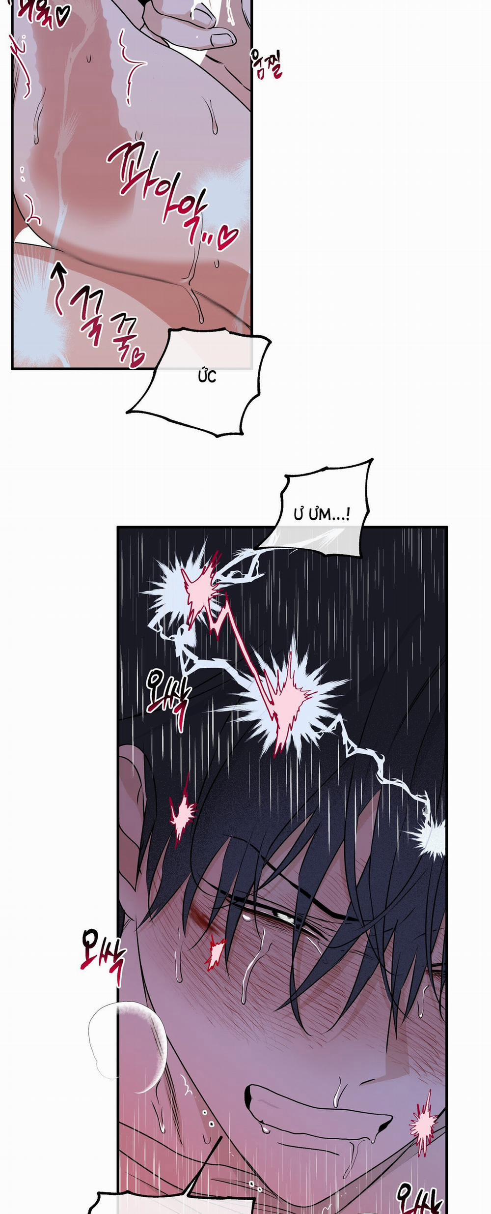 Đêm Bên Bờ Biển 56 trang 19