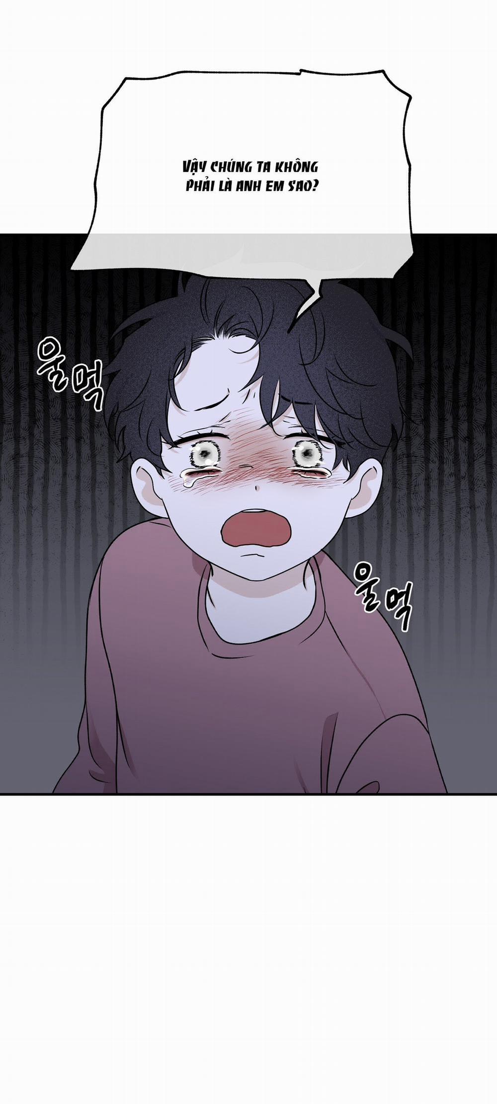 Đêm Bên Bờ Biển 61.5 trang 18