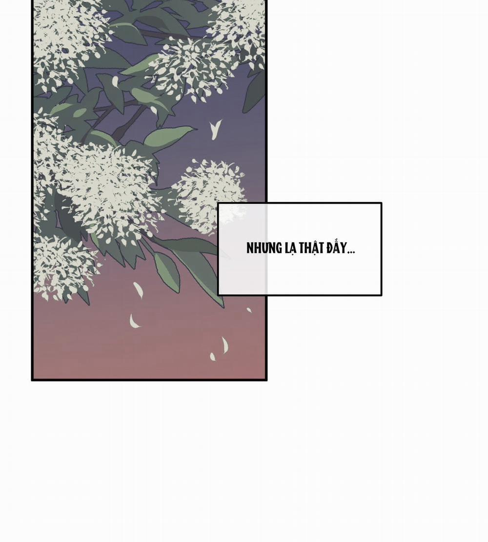 Đêm Bên Bờ Biển 67.1 trang 29