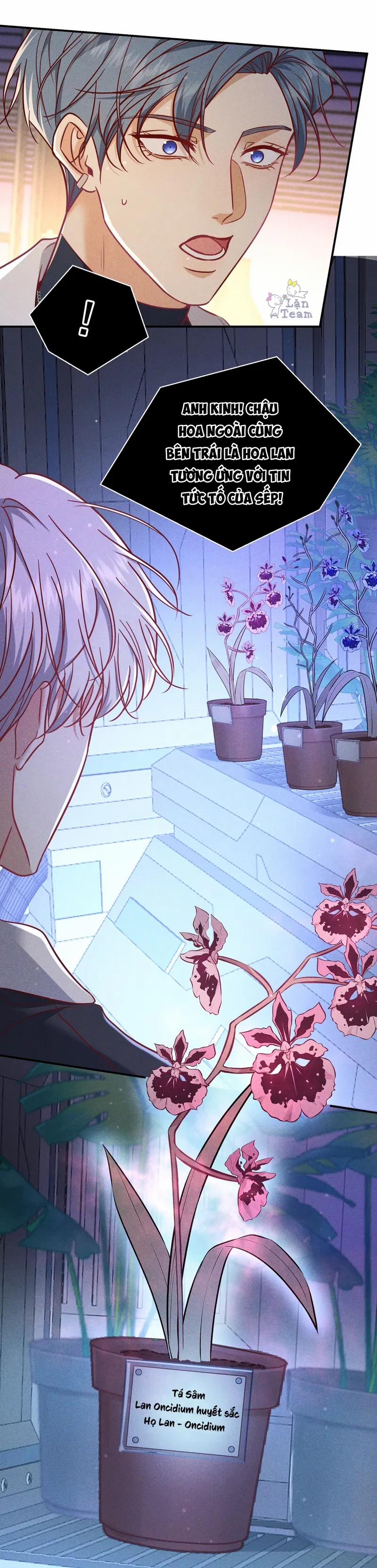 Đêm Cuồng Say 54 trang 7